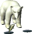 Bear Graphic 16