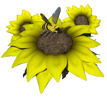 Bee Graphic 1