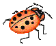 Bug Graphic 2