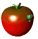 Bug Graphic 3