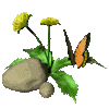 Butterfly Graphic 1