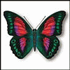 Butterfly Graphic 4