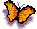 Butterfly Graphic 7