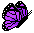 Butterfly Graphic 12