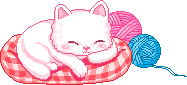 Cat Graphic 2
