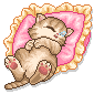 Cat Graphic 3