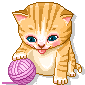 Cat Graphic 4