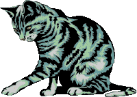 Cat Graphic 6
