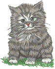 Cat Graphic 7