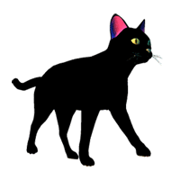 Cat Graphic 11