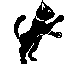Cat Graphic 12