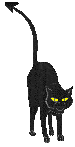 Cat Graphic 16