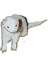 desc