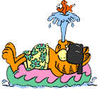 Garfield Graphic 1