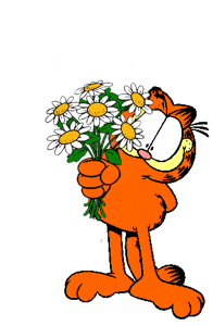 Garfield Graphic 3