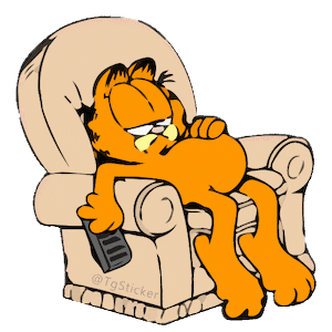 Garfield Graphic 15