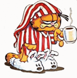 Sleepy Garfield Graphic