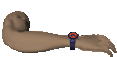 Watch and Arm