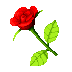 Flower 19