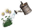 A Geocities style gif of a 3D watering can, watering some 3D daisies.